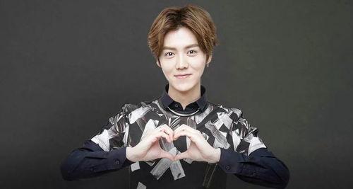 娱乐圈吃瓜鹅鹿晗,娱乐圈吃瓜鹅的蜕变之路